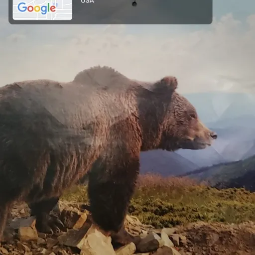 creator Elena Staten's avatar