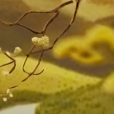 chat with ai character: Mha GC Prom