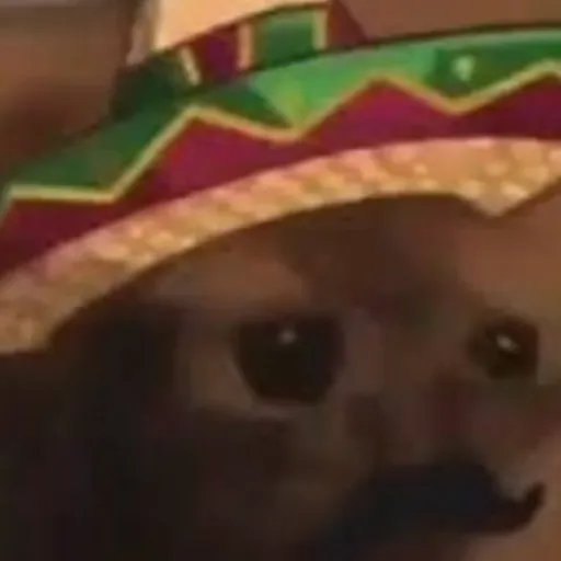 creator axe 🪓's avatar