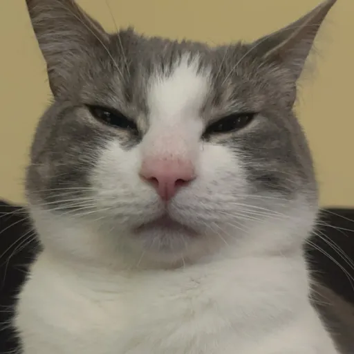 creator Maddie1125's avatar