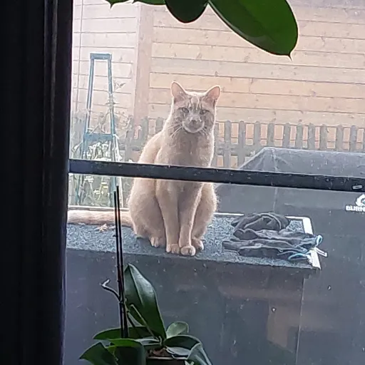 creator Justin.,.'s avatar