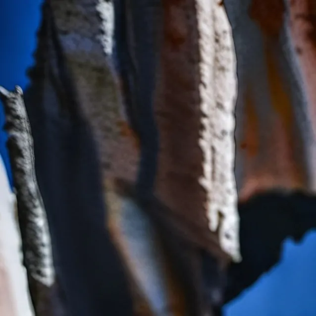 chat with ai character: tails exe