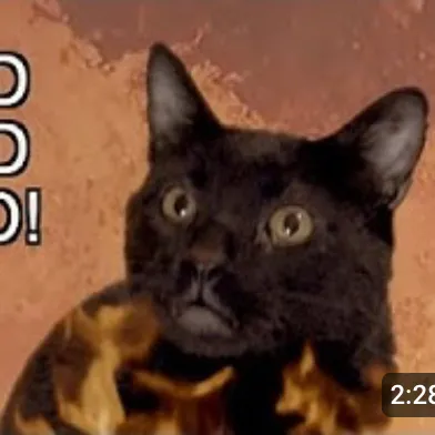 creator Talkior-f9uYOwZY's avatar