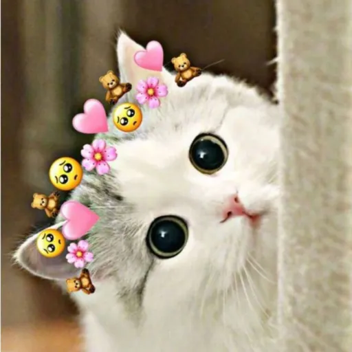 creator Valerie catcreator's avatar