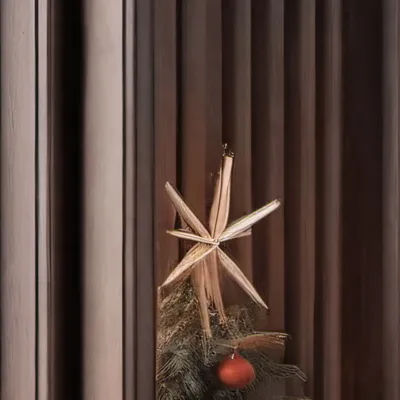 chat with ai character: FPE Christmas?