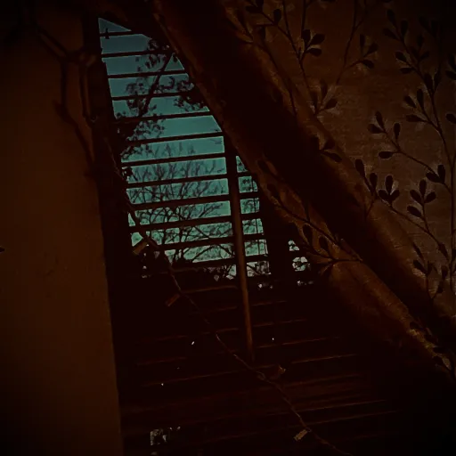 creator Dakota Wilder's avatar