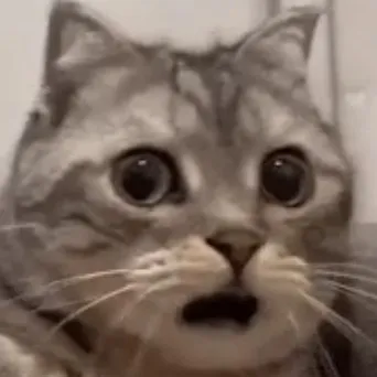 creator Petah..?!'s avatar