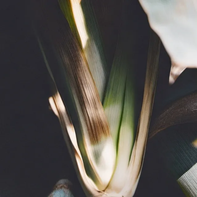 chat with ai character: Joel