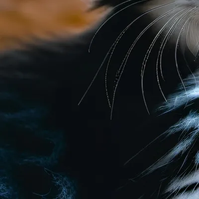 chat with ai character: Snowflake