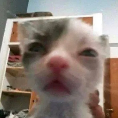 creator *-_ᴰᴿᵁᴺᴷ_ᴷᴵᵀ_-*'s avatar