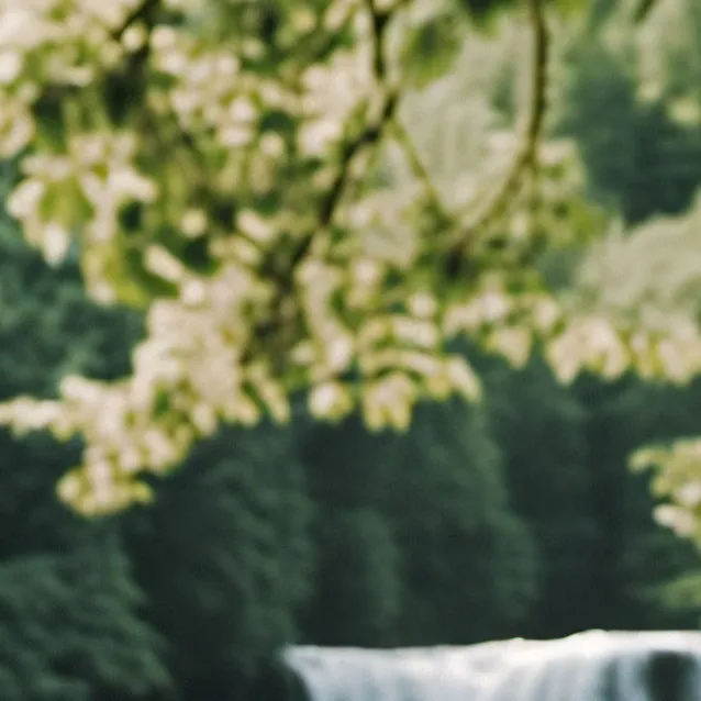 chat with ai character: apple