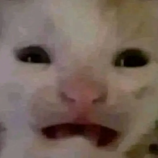 creator kindness squad's avatar