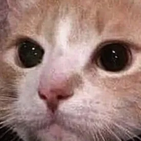 chat with ai character: ((Pebblesonas))