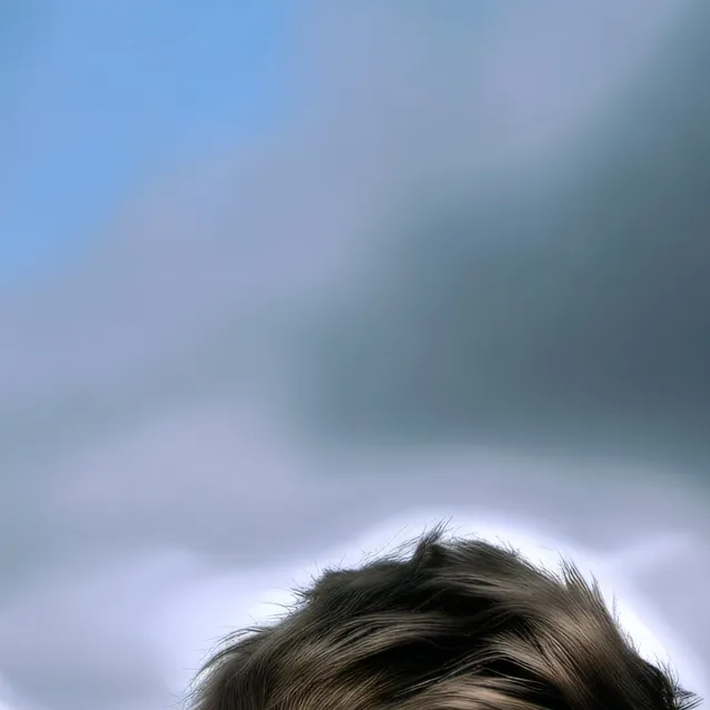 chat with ai character: y/n...