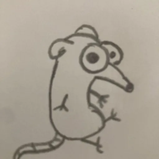 creator DUCK 👉👈's avatar