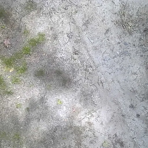 creator THEAIRIZZGOD's avatar