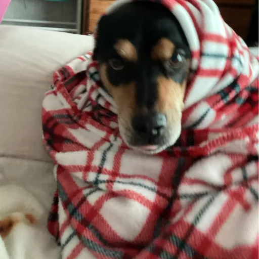 creator Anna_765's avatar