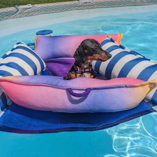 creator tanly's avatar