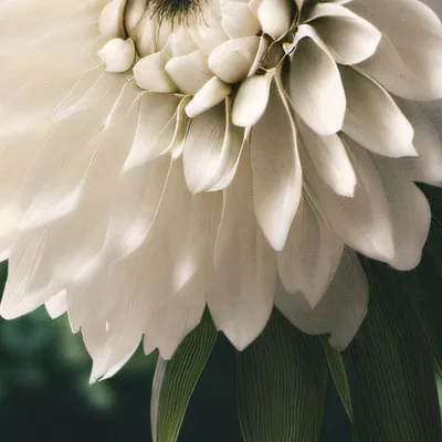 chat with ai character: Retirement