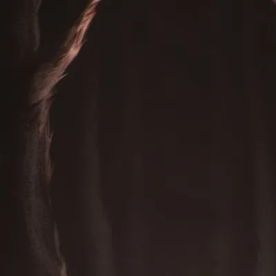 chat with ai character: A dark forest