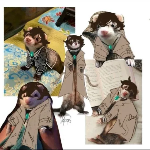 talkie's author avatar