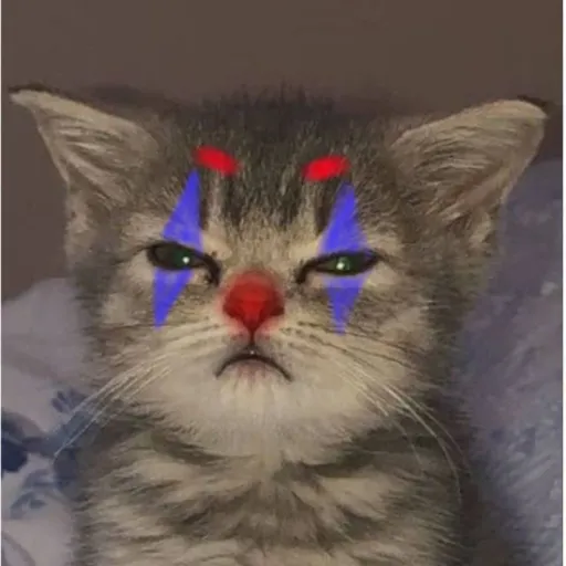 creator •■Kittyclown■•'s avatar