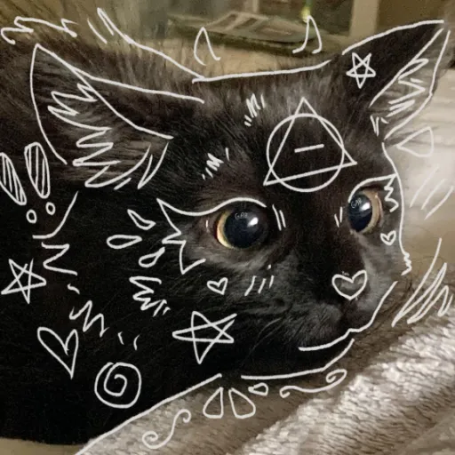 creator Insane therian 💅's avatar