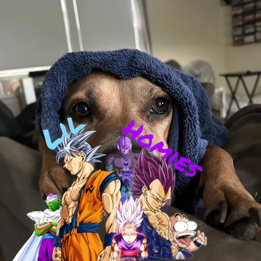 creator Bron and Aroni's avatar