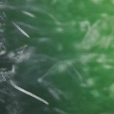 chat with ai character: Hogwarts