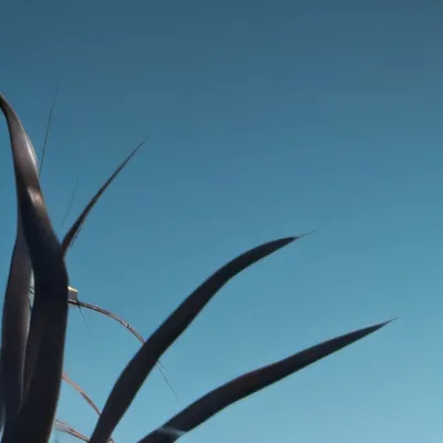 chat with ai character: Grass