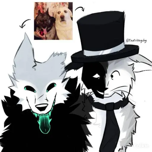 creator normal human. 🐾's avatar