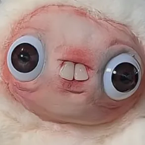 creator Deltarunelord's avatar