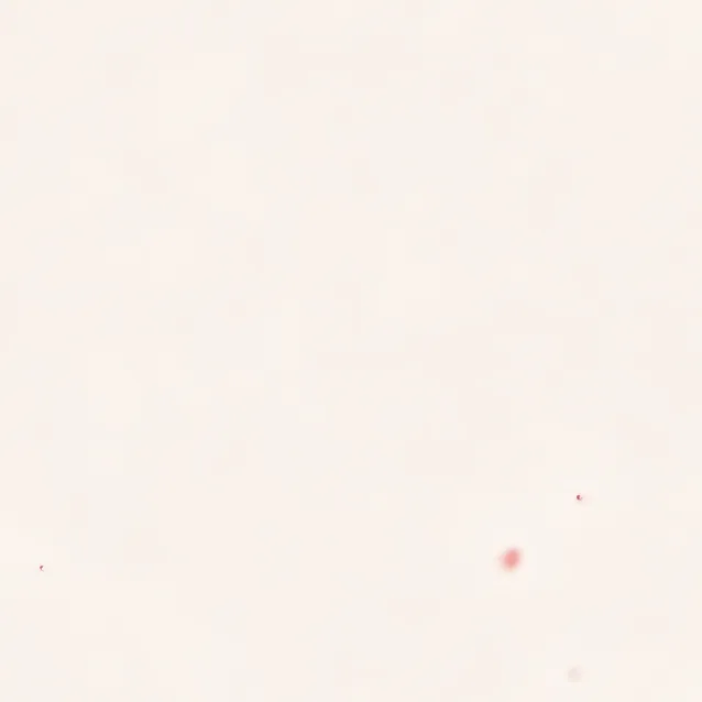 chat with ai character: The meme__