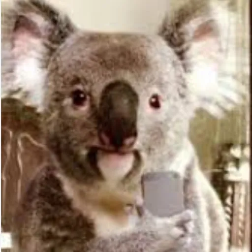 creator Cris123go!'s avatar