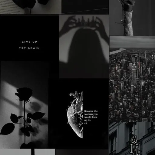 creator 《♤cherry rose♤》's avatar