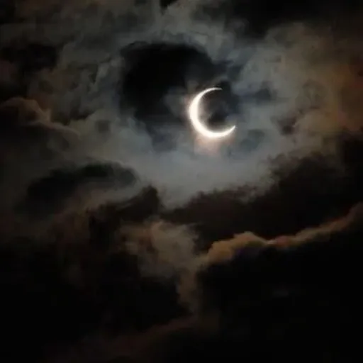 creator Nyx's_child🌑⭐'s avatar