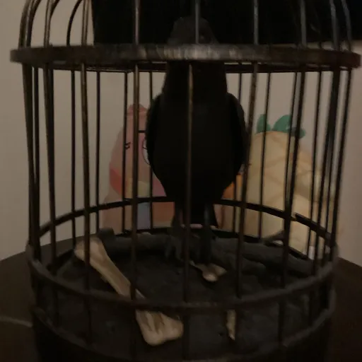 creator CutieAlicey's avatar