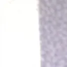 chat with ai character: Punky