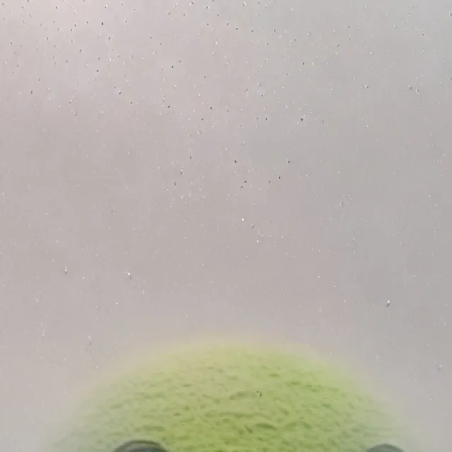 chat with ai character: duolingo