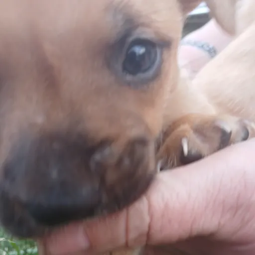 creator mr benamaker's avatar