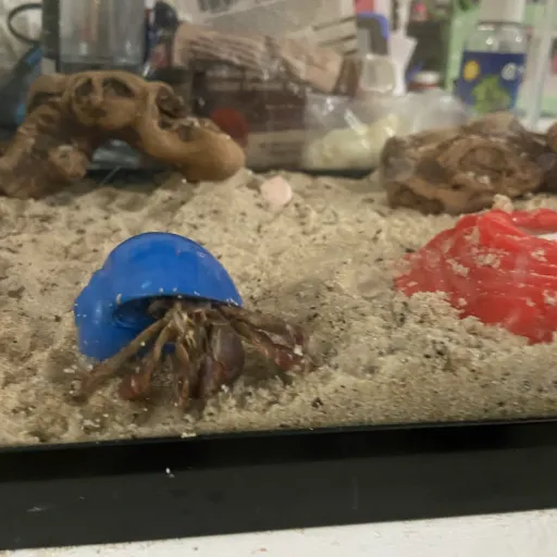 creator Milky-butter 123's avatar