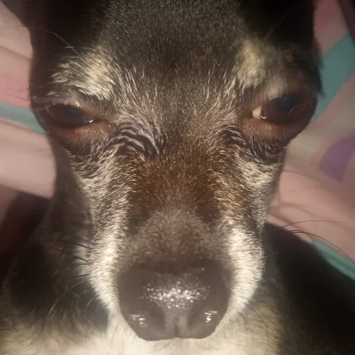 creator idk and idc frfr's avatar