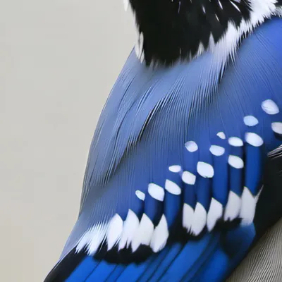 chat with ai character: Emilia