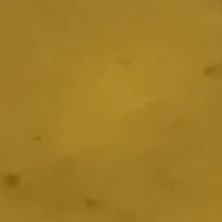 creator Soupy goober's avatar