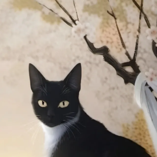 chat with ai character: Jinx cat