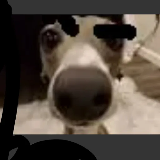 creator jaaaaaayaa's avatar