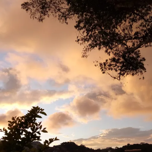 creator Daisy Haze's avatar