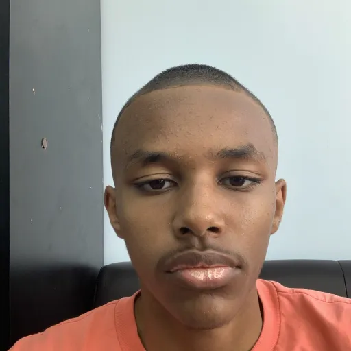 creator Michaelthedude's avatar