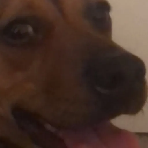 creator Ariana.45's avatar