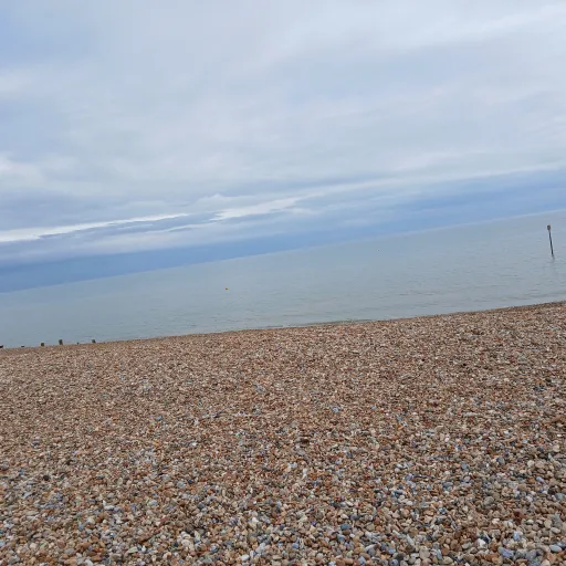 creator Talkior-y9mP5oJu's avatar